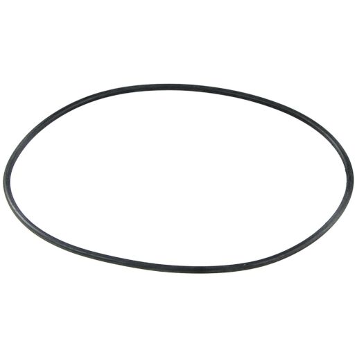 Уплотнительное кольцо корпуса насоса Aquaviva AVC-125-125, O Ring №19 Glong - Акваполис