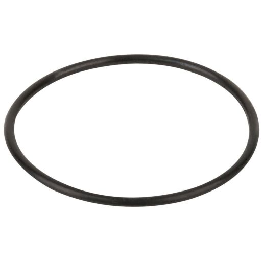 Уплотнительное кольцо корпуса насоса Aquaviva LX WP500-I, F02020031 №8 - Акваполис
