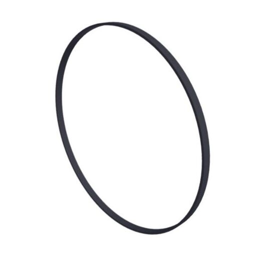 Уплотнительное кольцо Hayward (SPX1600T), SPX1600T - Акваполис