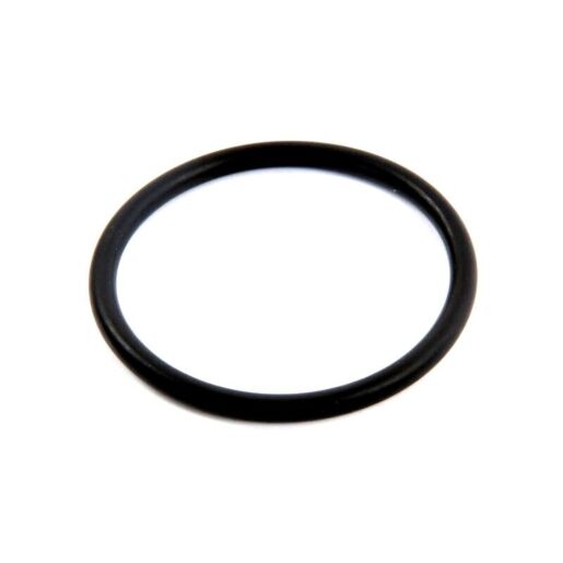 Уплотнительное кольцо для фильтров Hayward Star Clear (CX250F), CX250F - Акваполис