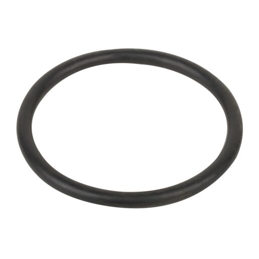 Уплотнительное кольцо соединительной муфты насоса Aquaviva SWIM 025-150, F02010077 №3 - Акваполис