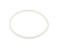 Уплотнительное кольцо AquaViva хлоратора SSC 2021044, 2021044 - Акваполис