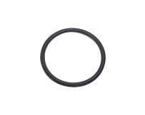 Уплотнительное кольцо Hayward (SX0220Z2), SX220Z2 - Акваполис