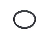 Уплотнительное кольцо Hayward (SPX1600R), SPX1600R - Акваполис