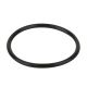 Уплотнительное кольцо Aquaviva 1,5" (02020013), 2020013 - Акваполис