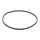 Уплотнительное кольцо к прижимному фланцу корпуса насоса AquaViva SC (02011089), 2011089 - Акваполис
