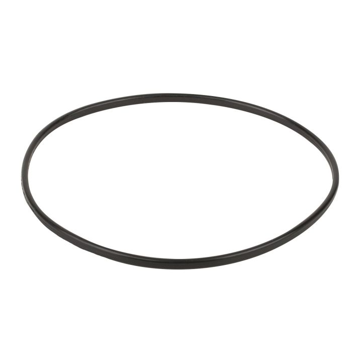 Уплотнительное кольцо к прижимному фланцу корпуса насоса AquaViva SC (02011089), 2011089 - Акваполис