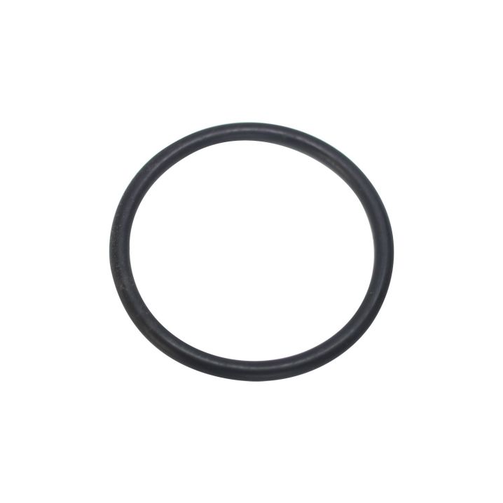 Уплотнительное кольцо Hayward (SX0220Z2), SX220Z2 - Акваполис
