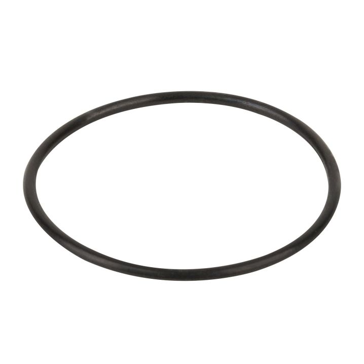 Уплотнительное кольцо крышки префильтра насоса Aquaviva SWIM 025-150, F02010098 №8 - Акваполис